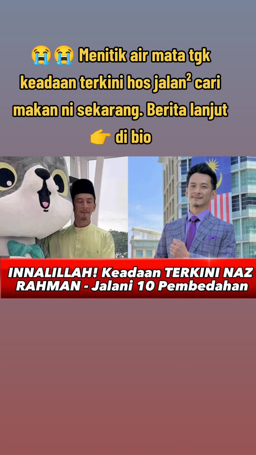 @Netizen Malaya