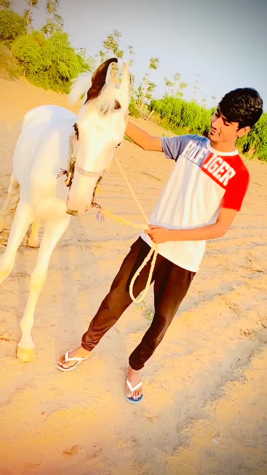 @Jay_desai_8