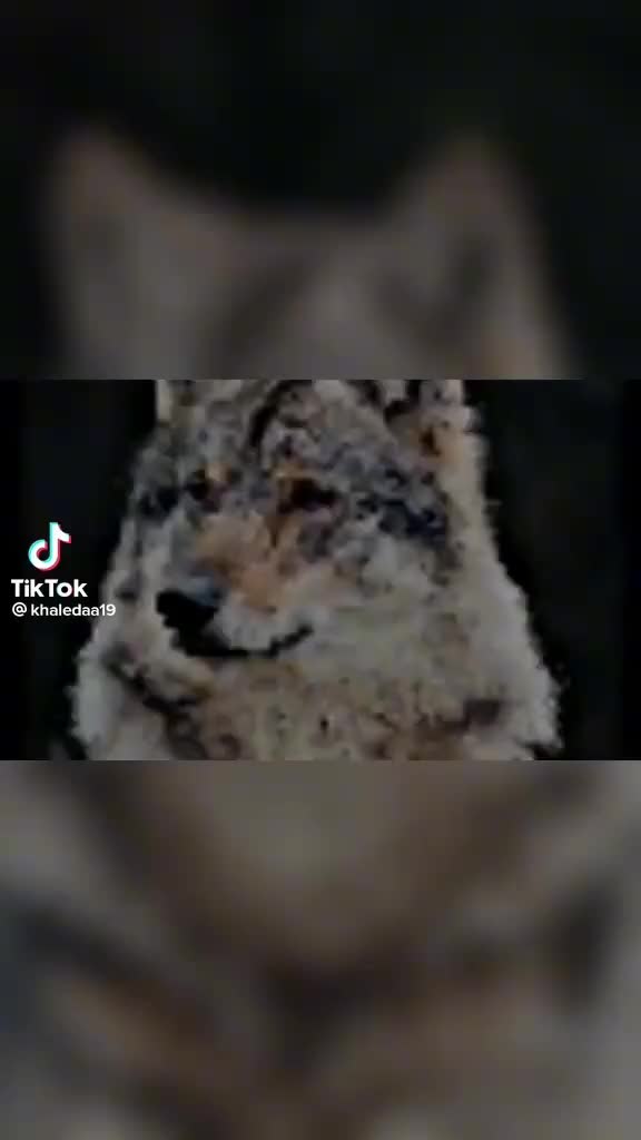 @🫅امي تاج راسي 🫅