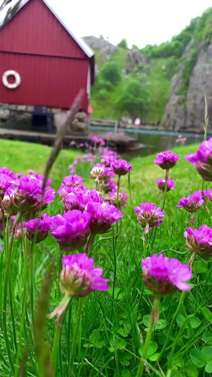 @Nature in Norway