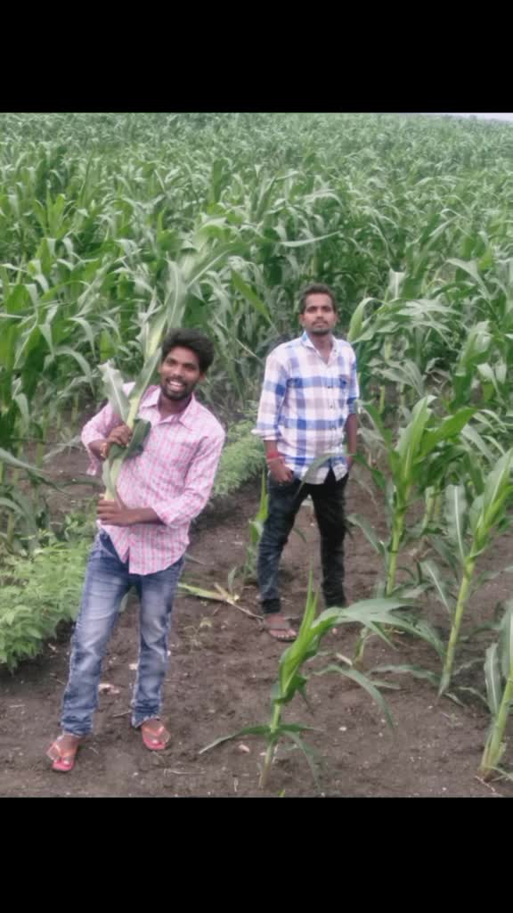 @charan raj