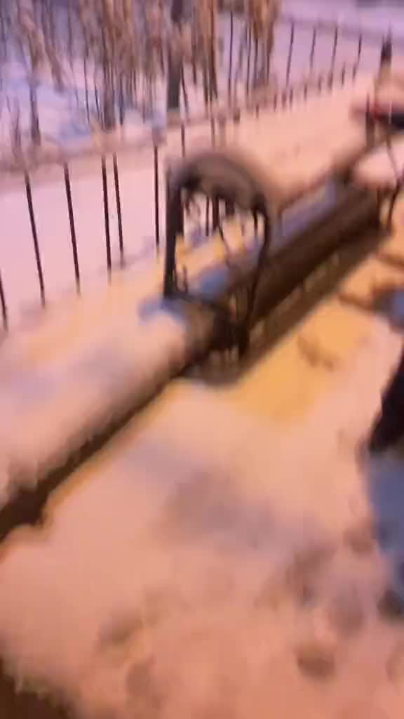 @сали слайм