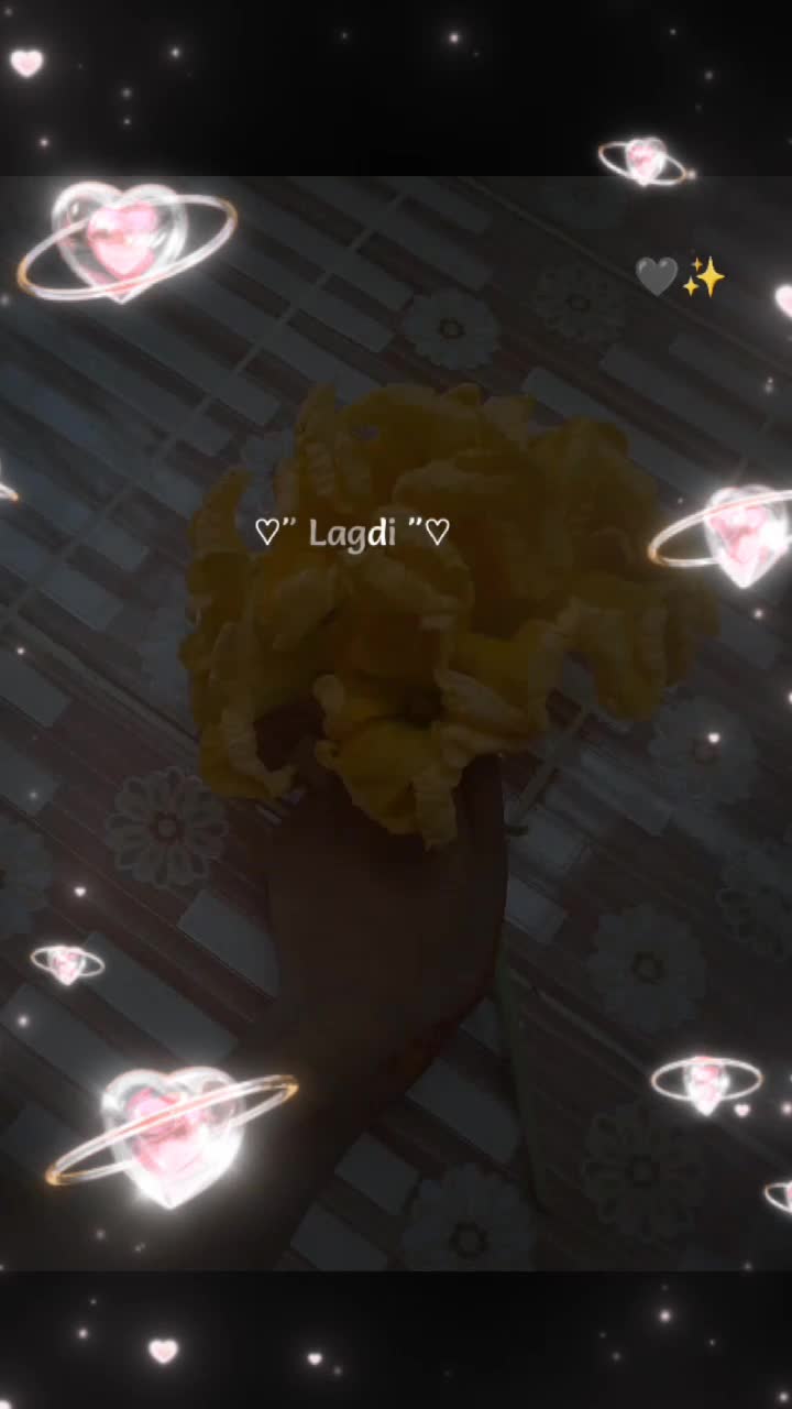 @🍁Tamjida🍁