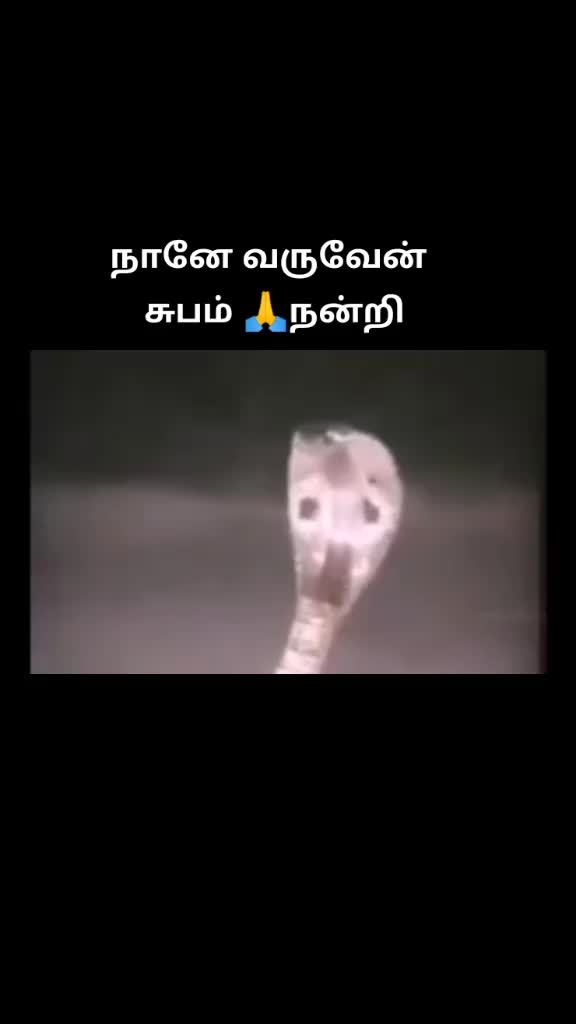 @💃 பானு பொம்மி💃