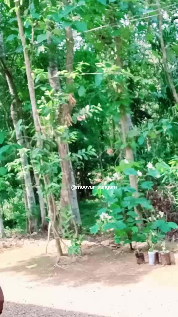 @🔥മൂവർ_സംഘം🔥