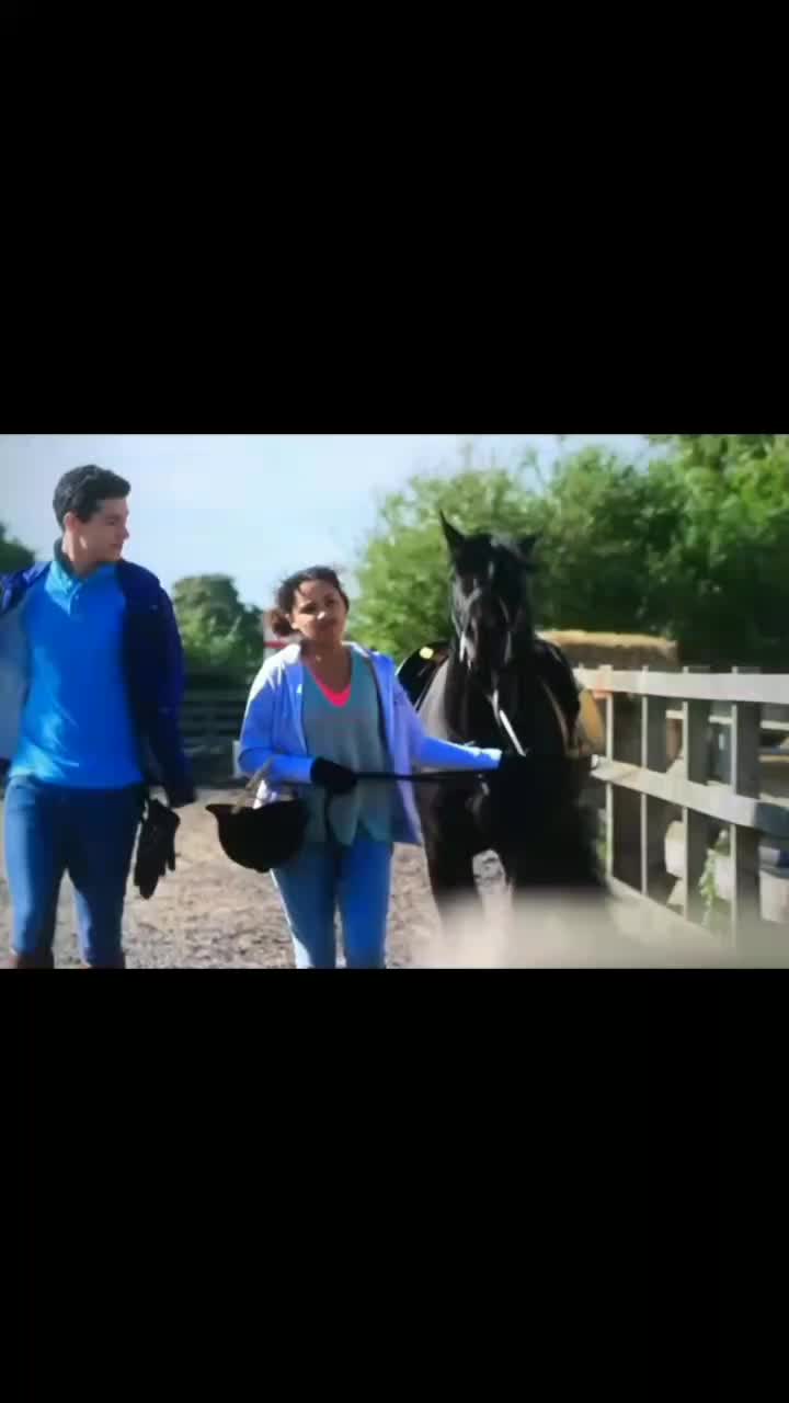 @💗🐴 FREE REIN 💗🐴