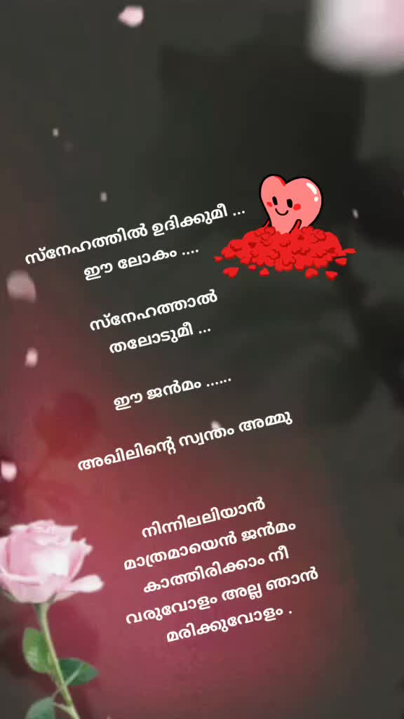 @Ammu