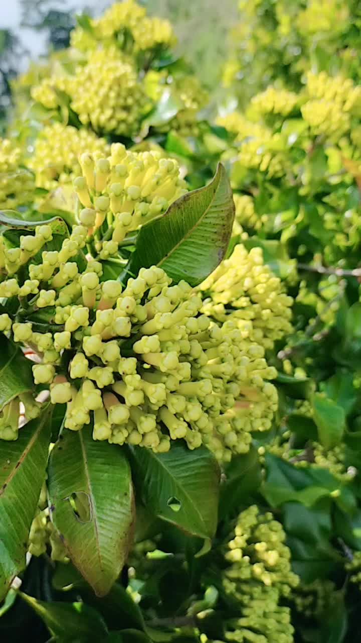 @โ๏ธ๐
ฑ๐
ฐ๐
ฝ๐
ถ ๐๐
ธ๐
ป๐
ปโ๏ธ