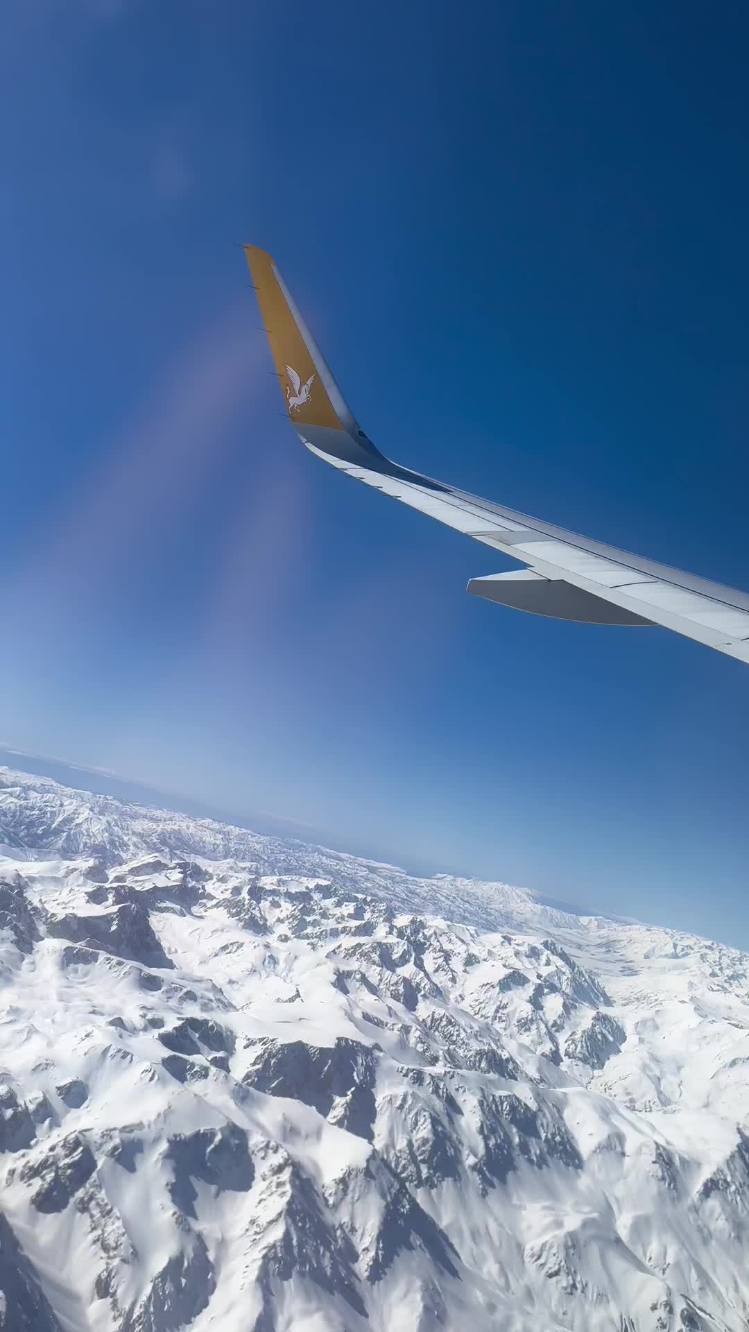 @Şeyda🦁