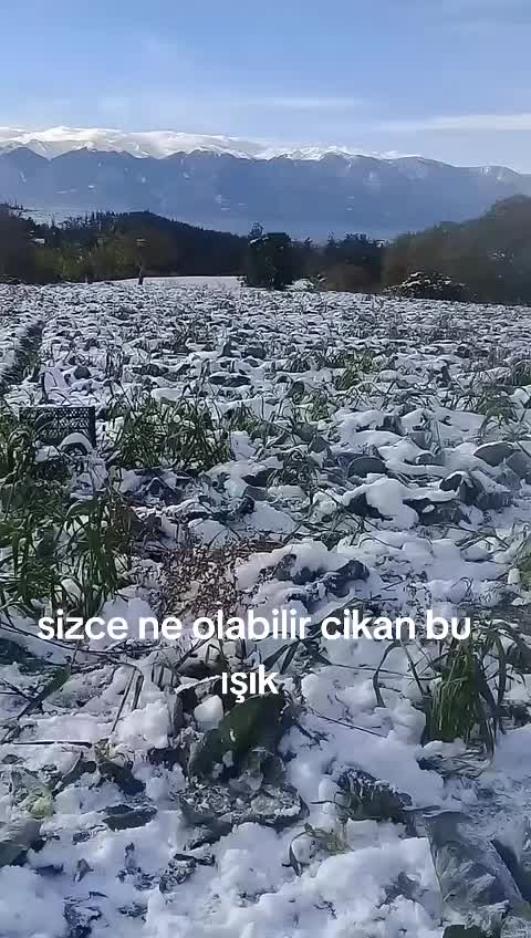 @nahli1963