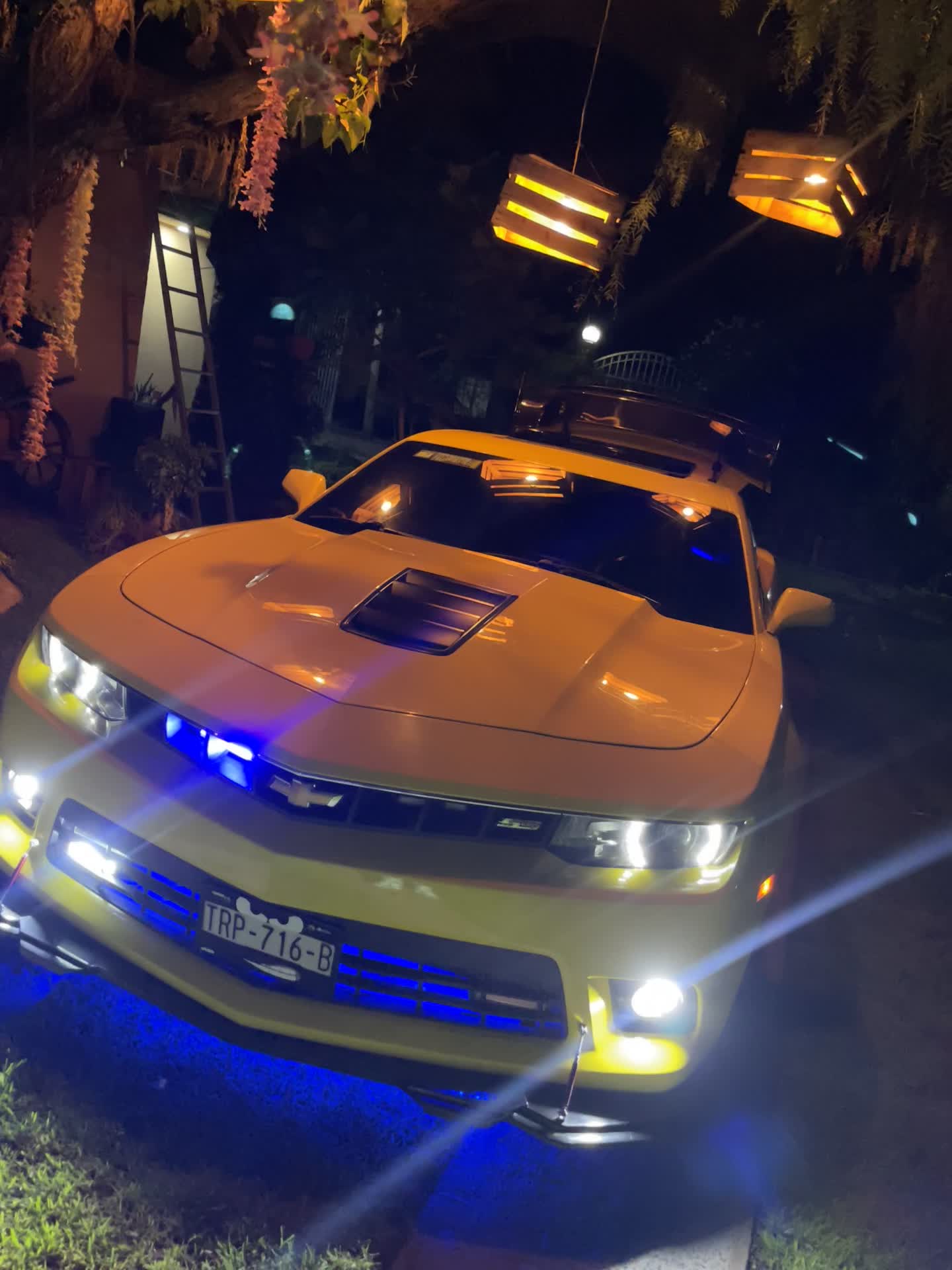 @Alexis CAMARO SS BUMBLEBEE