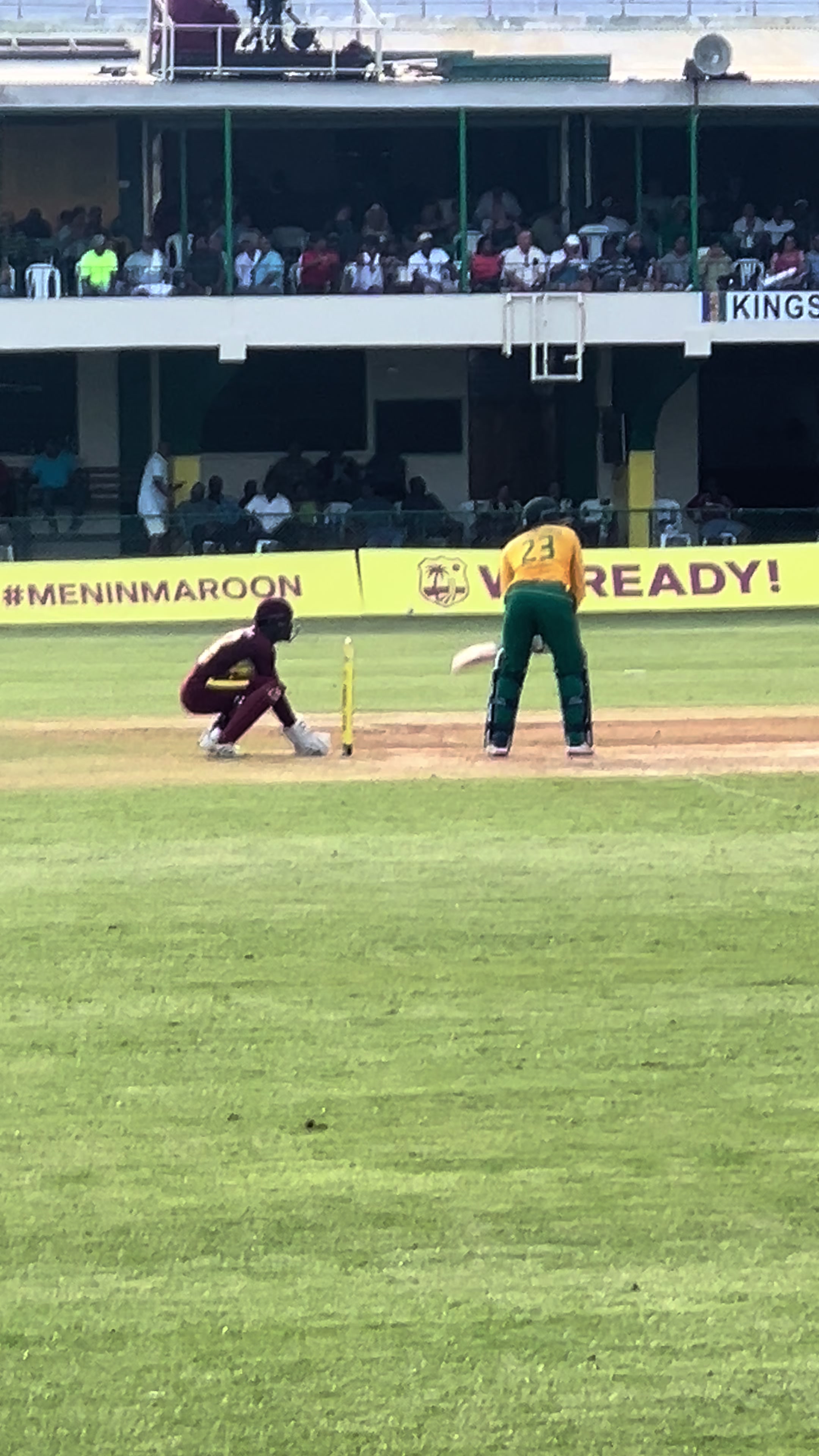@Cricket With Leon