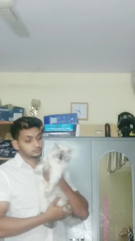 @shaad68