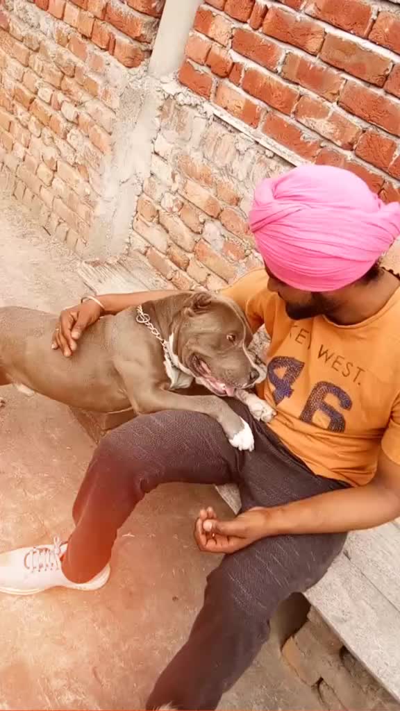 @ਸਰੋਏ ਸਾਬ
