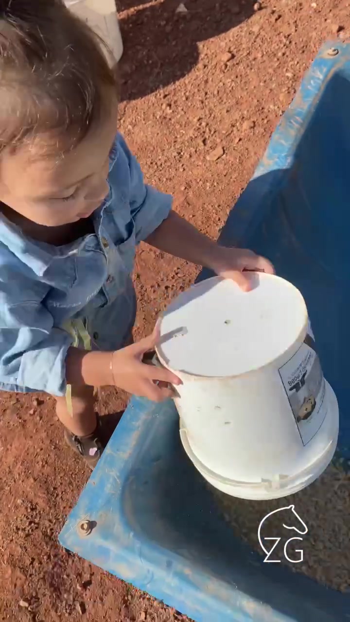 @Haras Z&eacute; Galego