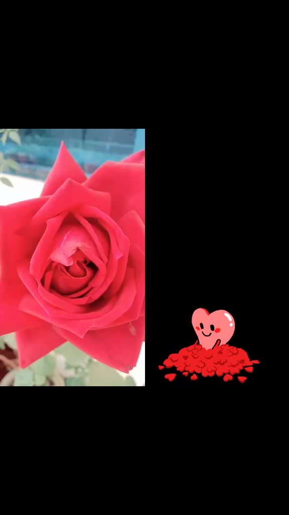 @momin shahezad