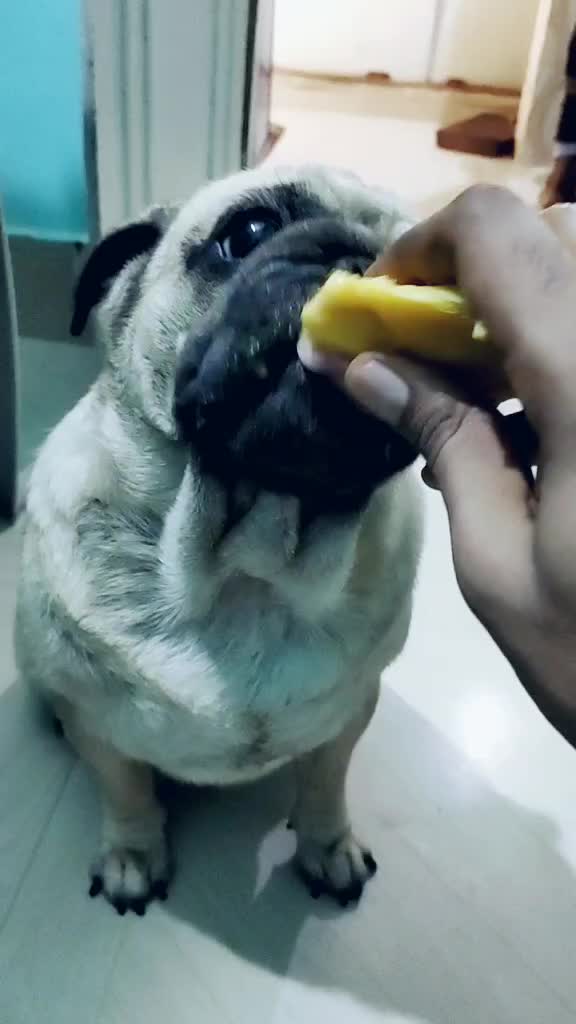 @Pankaj Kumar
