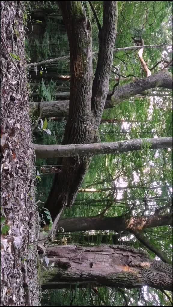 @bicsakmarcell22
