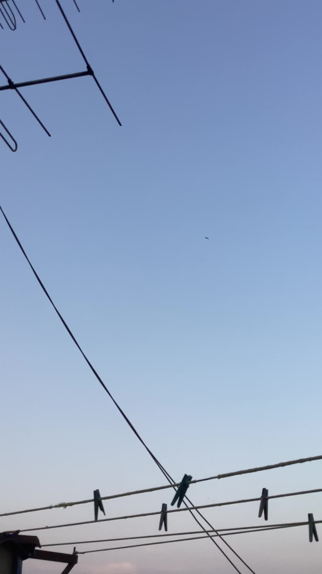 @куроми🐾
