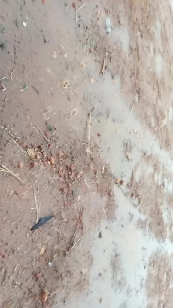 @Stylishstar Vishnu
