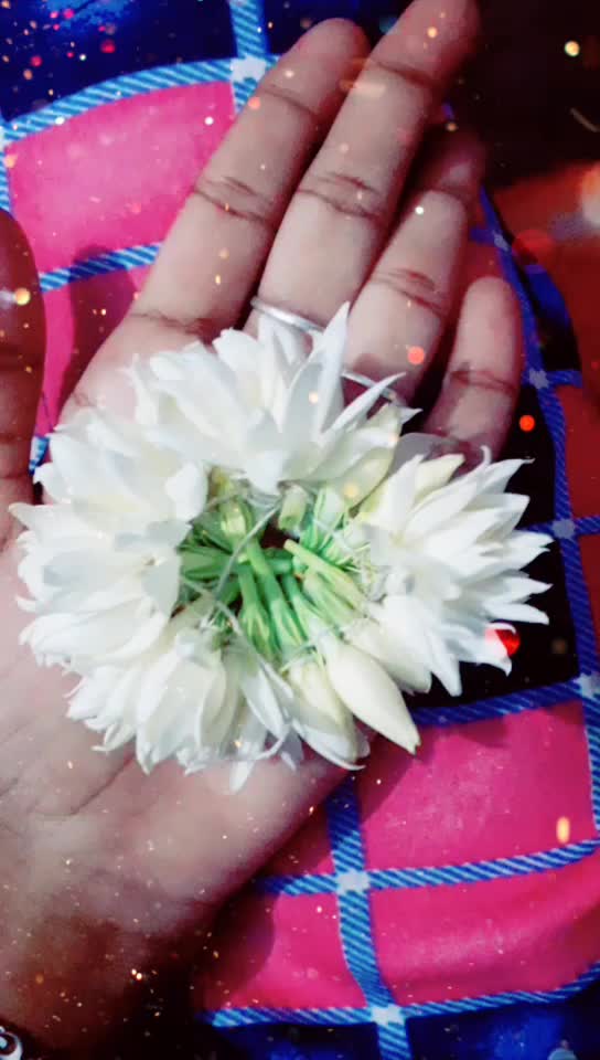 @💙lovely ammu💚