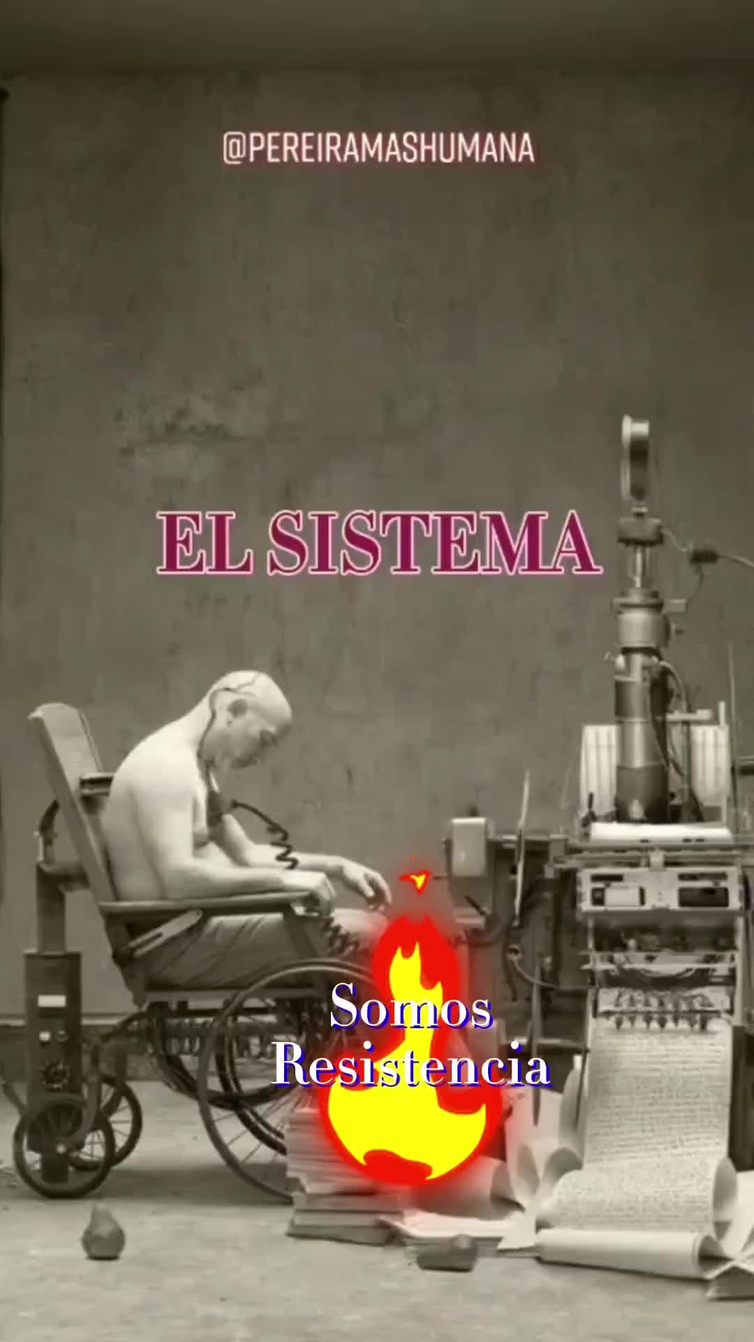@Pereiramashumana