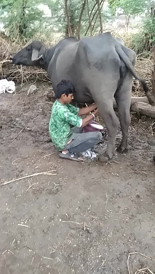 @Hardik Jadav
