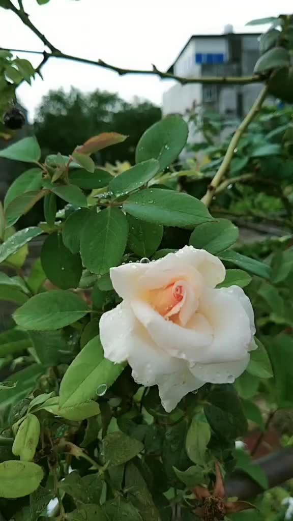 @🦄Niyati rathore🦄