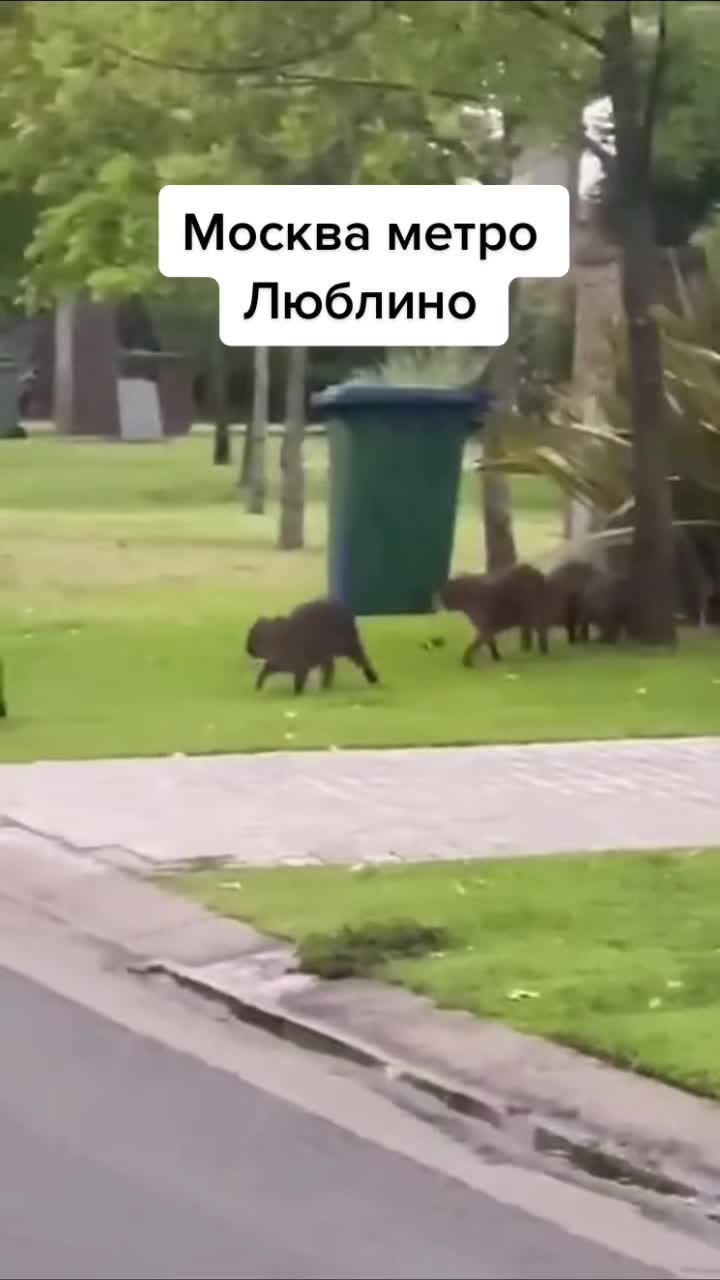 @GartonGatti
