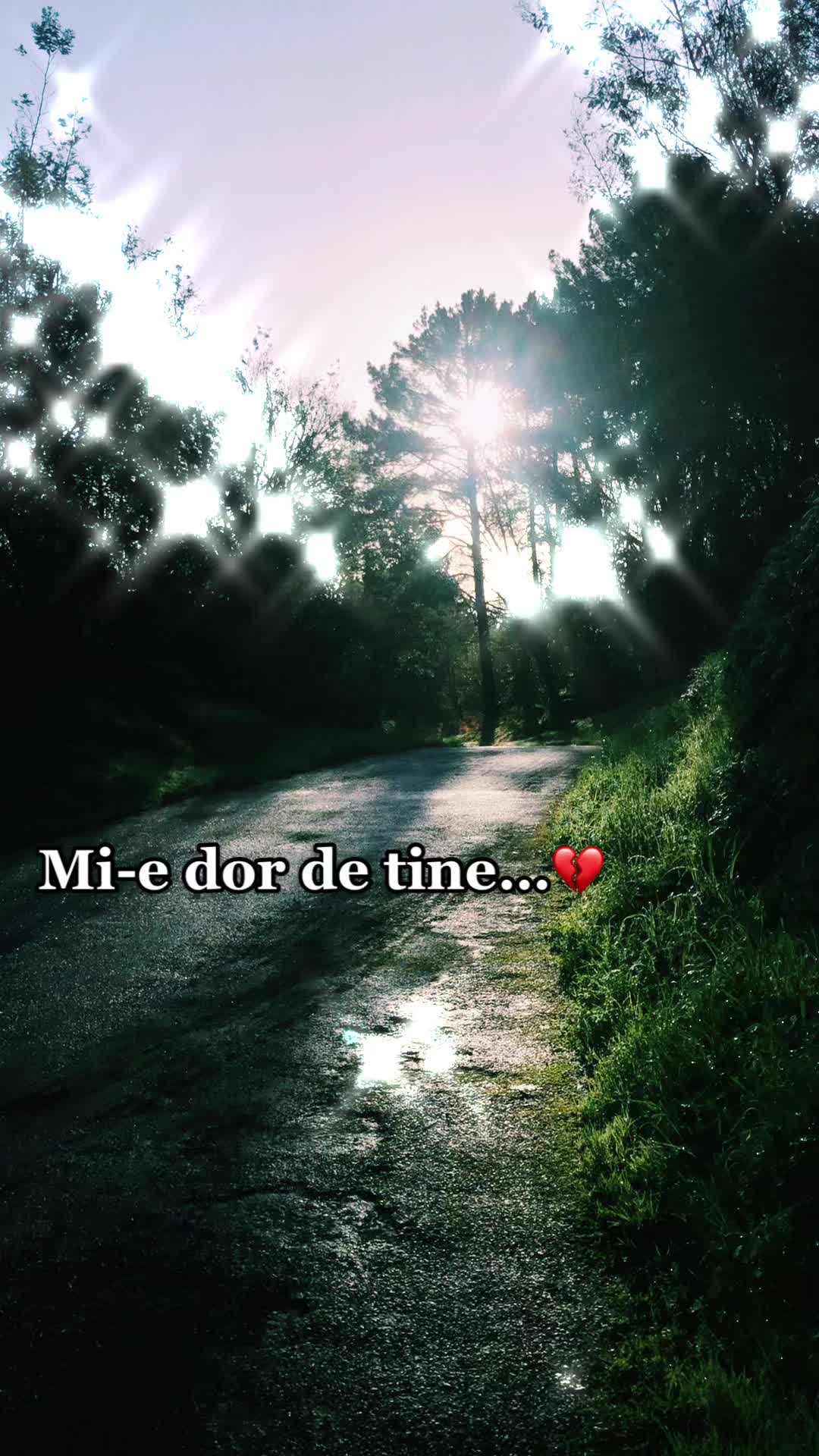 @⚜️ ꪑꪖꪀꫀꪶꫀ⚜️♥️✨