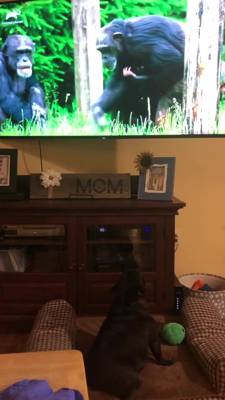 @NannyT