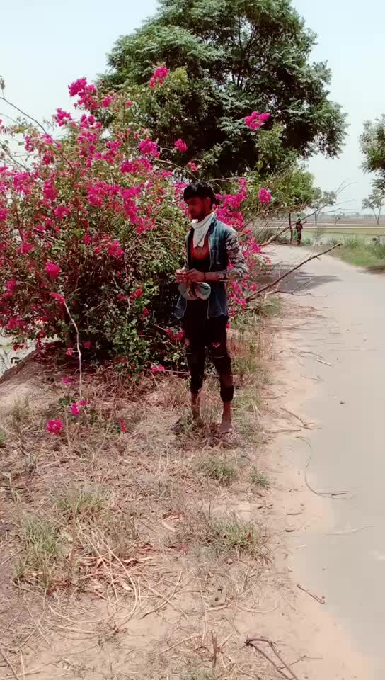 @Ranjeet 838383