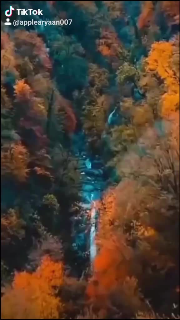 @AppleAryaan007