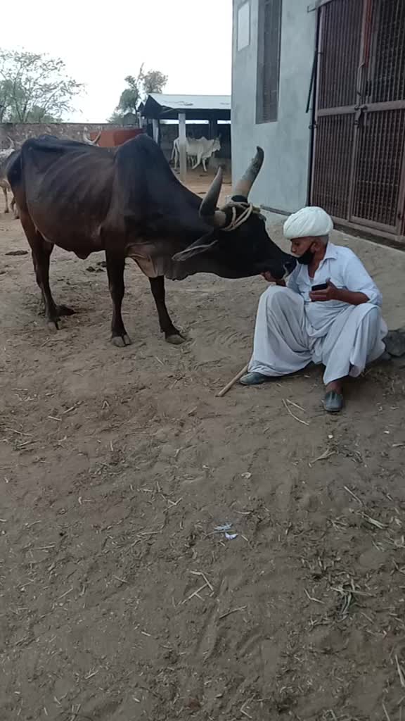 @रेवतड़ा सरकार