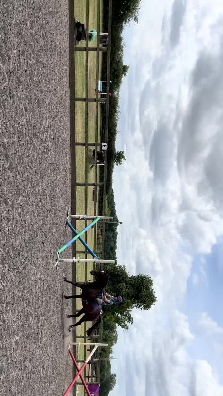 @notlouiselee