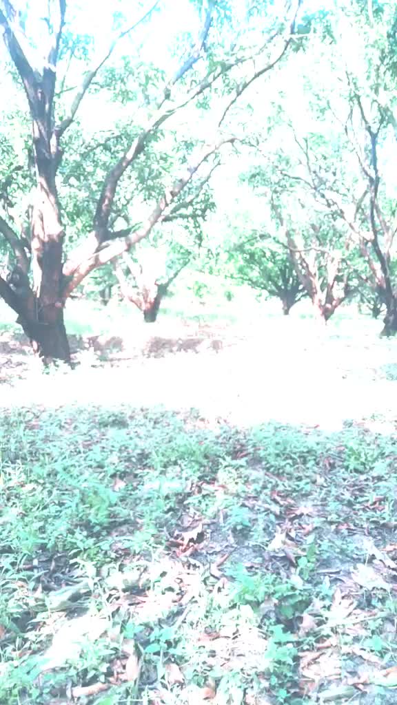 @thakur_shilpi_singh7