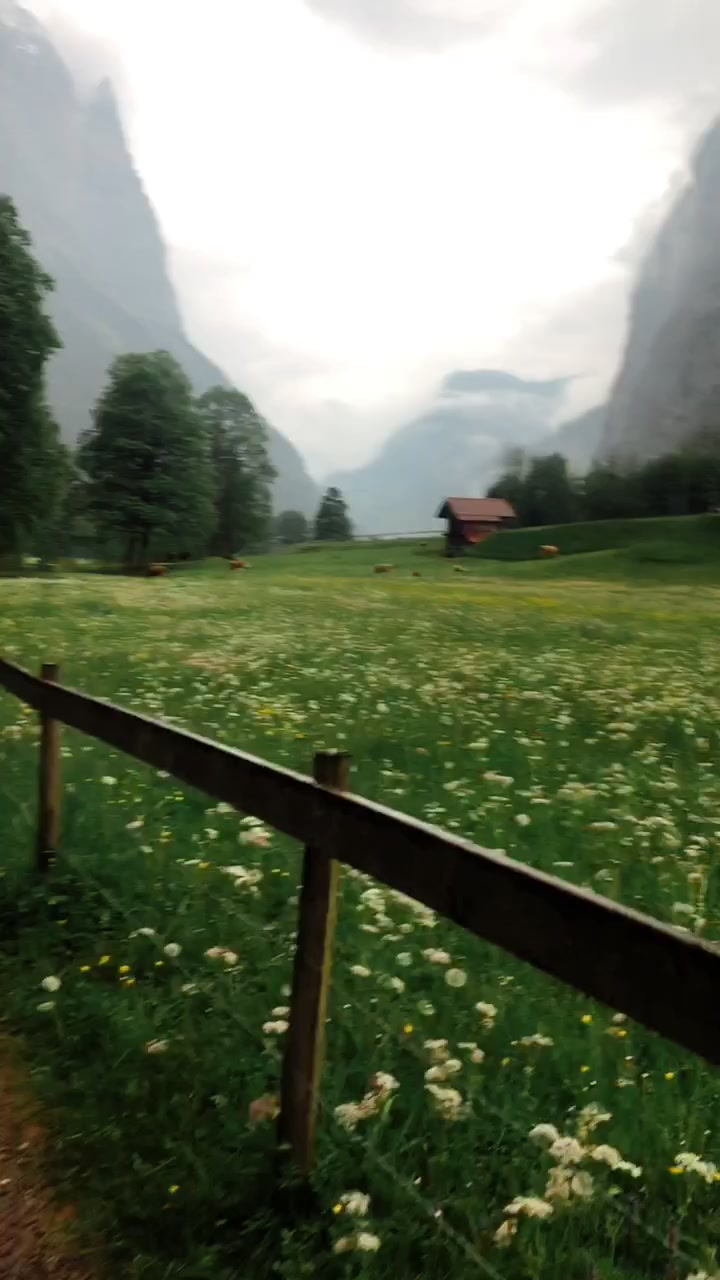@SwissForestElf
