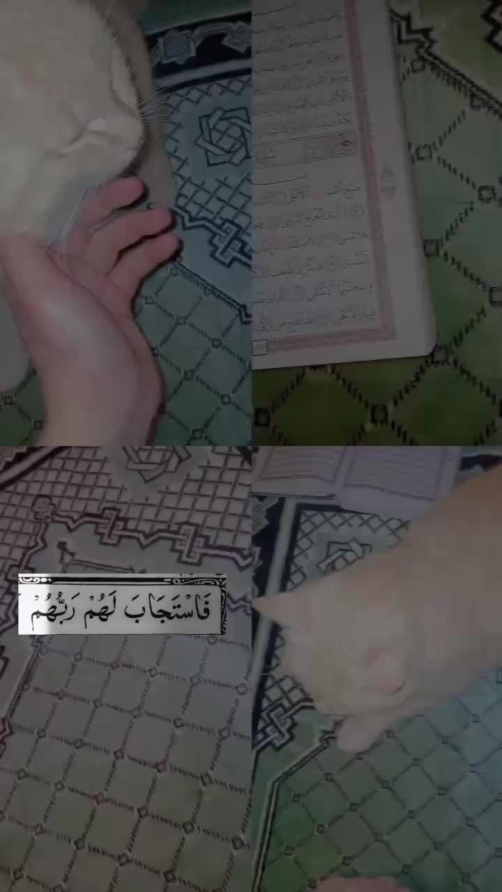 @๐๐๐๐๐ ๐๐