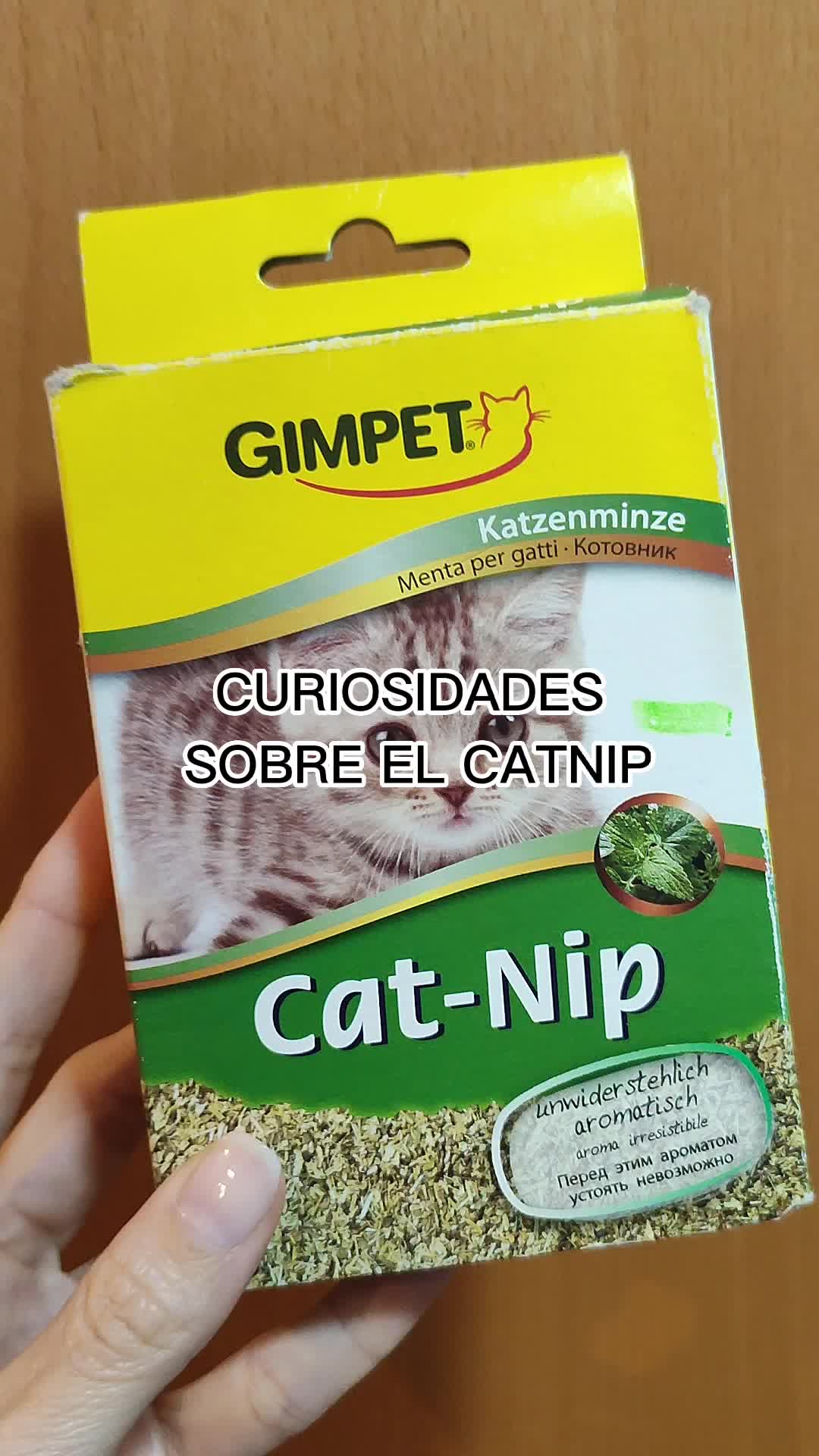 @Cooper, Arya, Aru y Sully 🐾