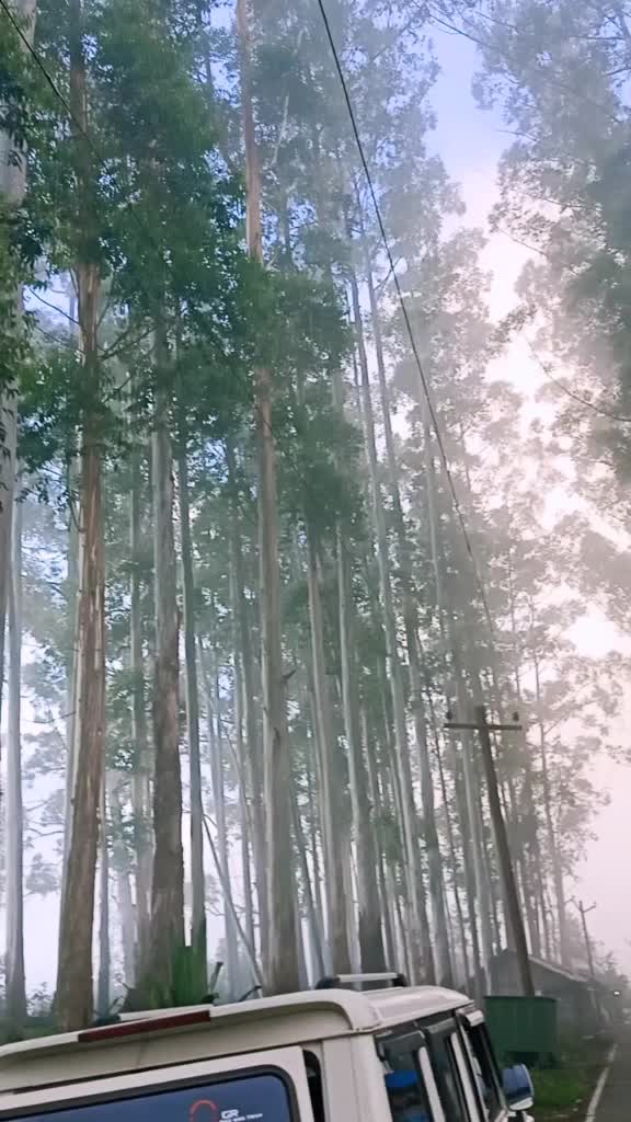 @Hashiqhashi