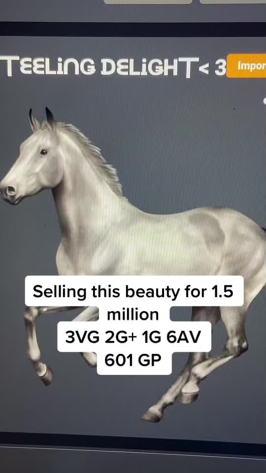 @Horse reality🤍