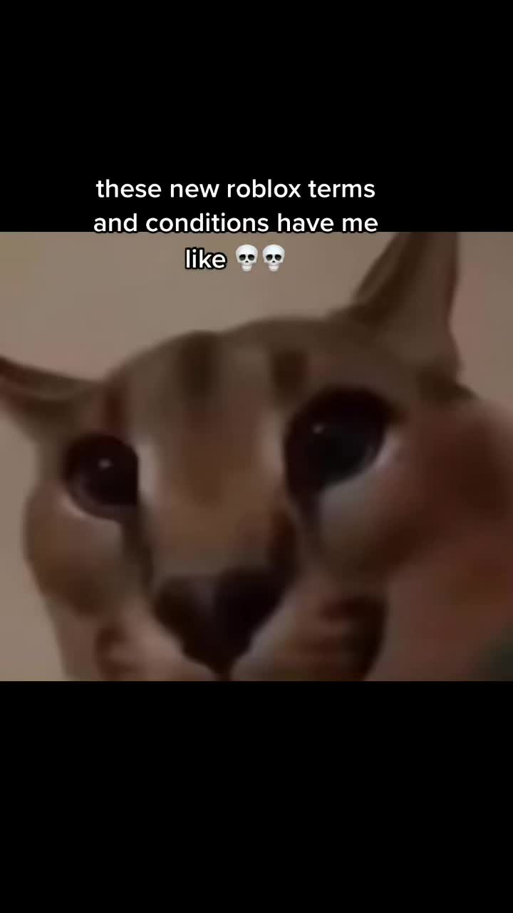 @SwoosyTheGpoPlayer