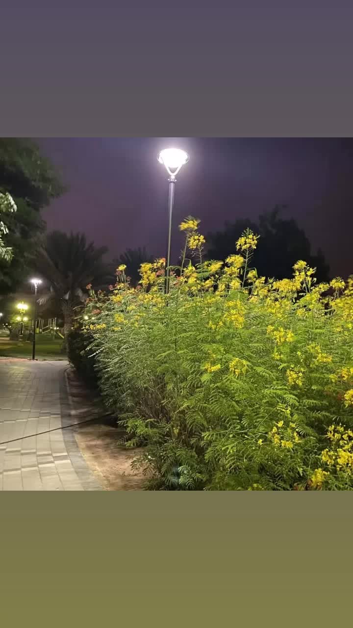 @HIGHLUX_SolarLedLighting