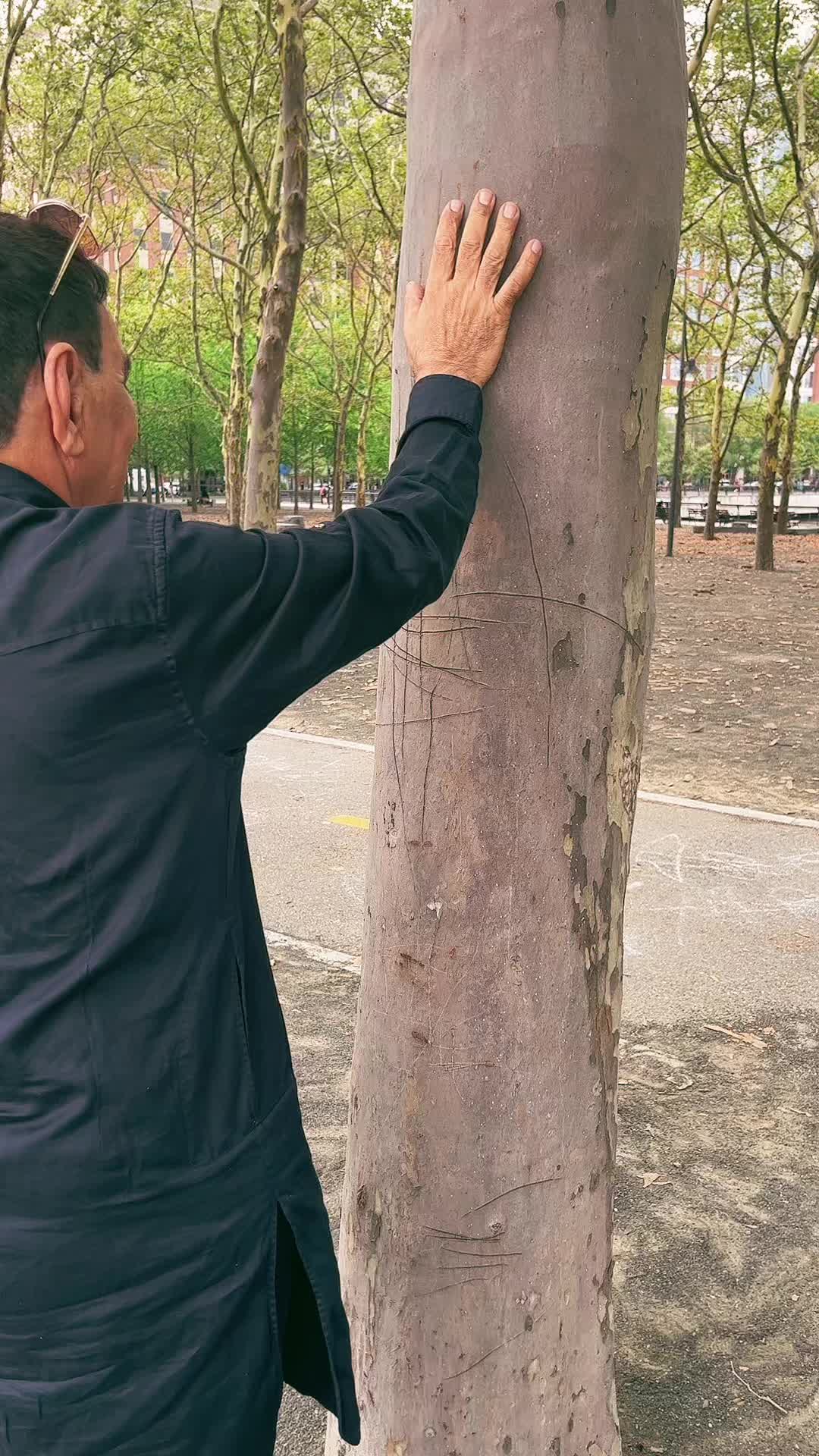 @Kamal Kalucha717