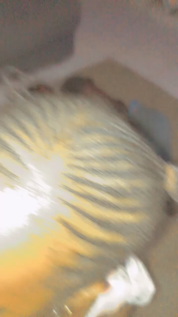 @nyanyakara