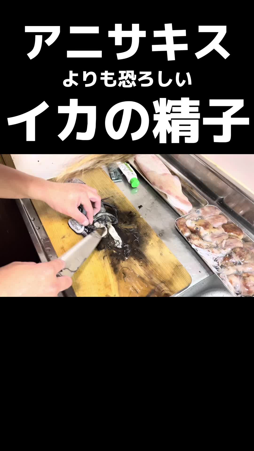 @俺たまご。