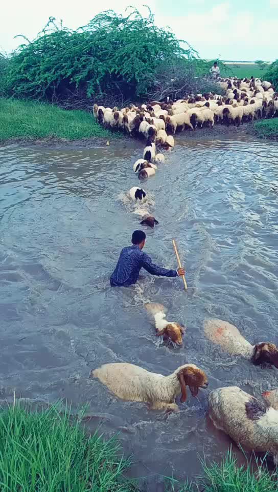 @ખીમાનાથા ખીમાનાથા