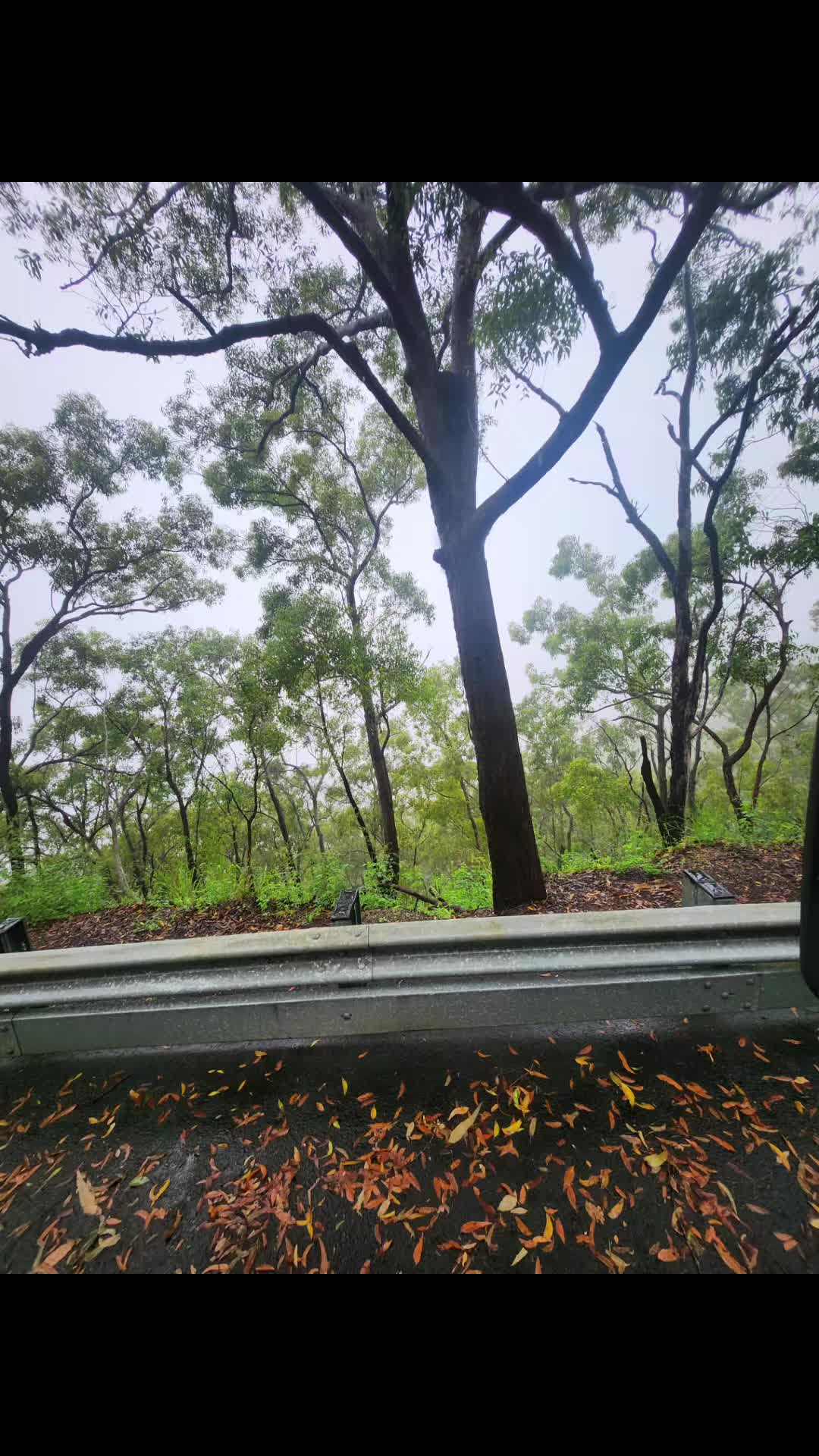 @jnrvolcano