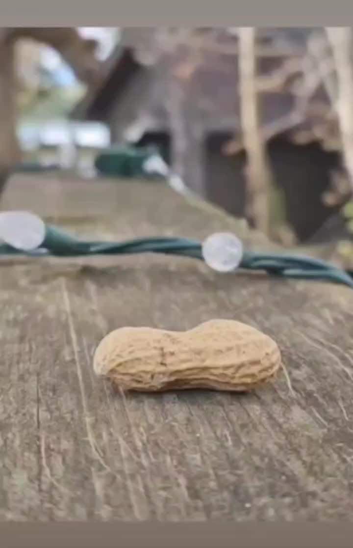 @MrNimster