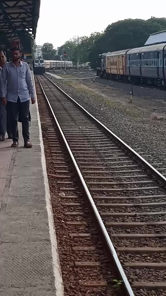 @varunchauhan786